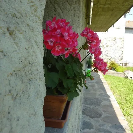 Kleine Perle Im Livo-tal By Interhome