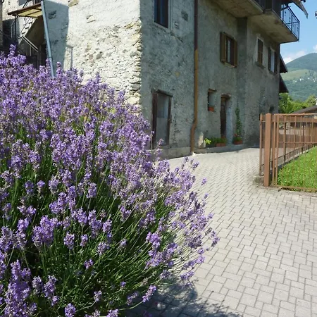 Kleine Perle Im Livo-tal By Interhome